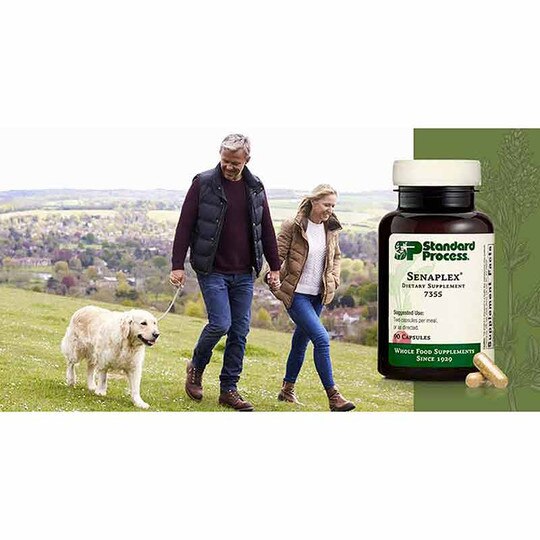 Senaplex, 90 Capsules, SP