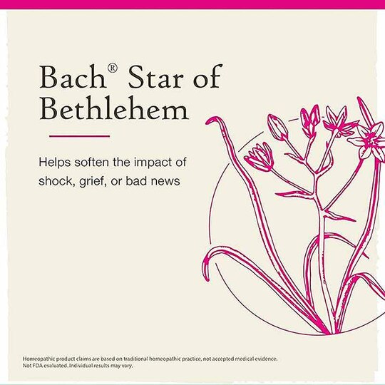 Star of Bethlehem Flower Essence, .7 Oz, BFR