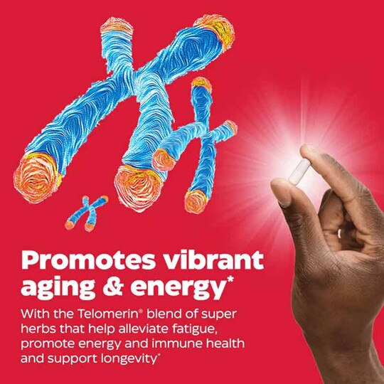 Telomere Plus, 30 Capsules, ENZ