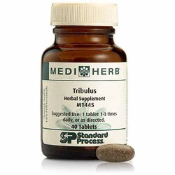 Tribulus