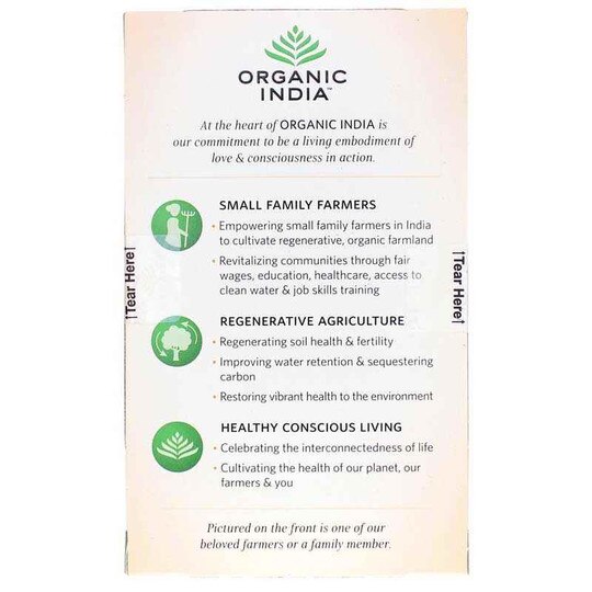 Tulsi Turmeric Ginger Organic Tea, 18 Tea Bags, OGI