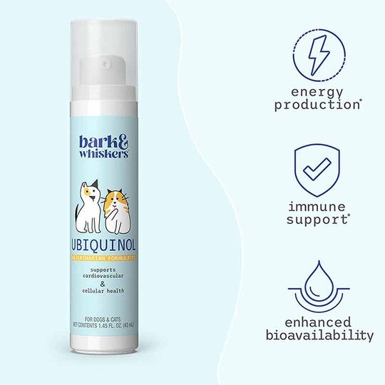 Ubiquinol Liquid Pump for Cats & Dogs, 1.45 Oz, BW