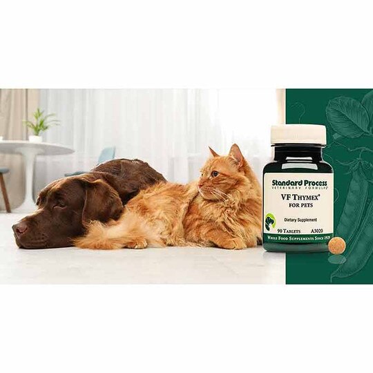 VF Thymex for Pets, 90 Tablets, SP