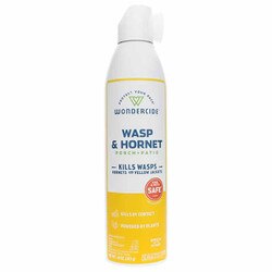 Wasp & Hornet Spray for Porch + Patio 1