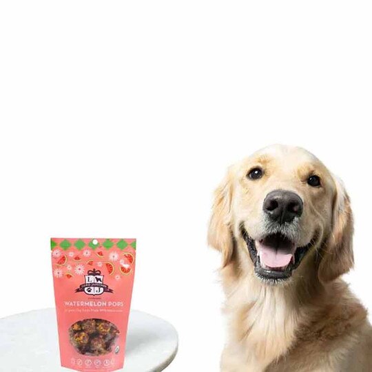 Watermelon Pops Vegan Dog Treats, 6 Oz, LJ