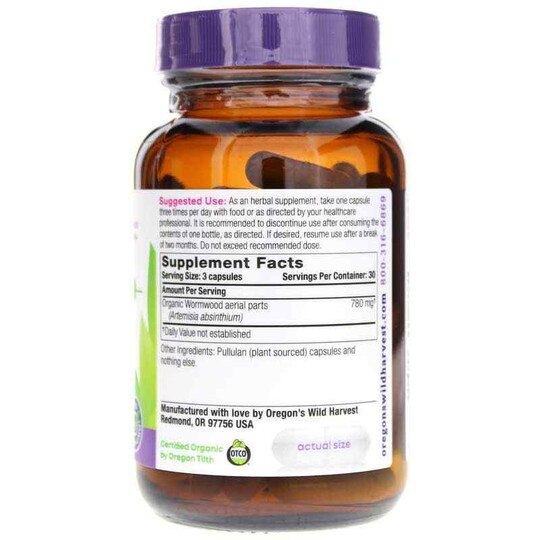 Wormwood, 90 Vegan Capsules, OWH