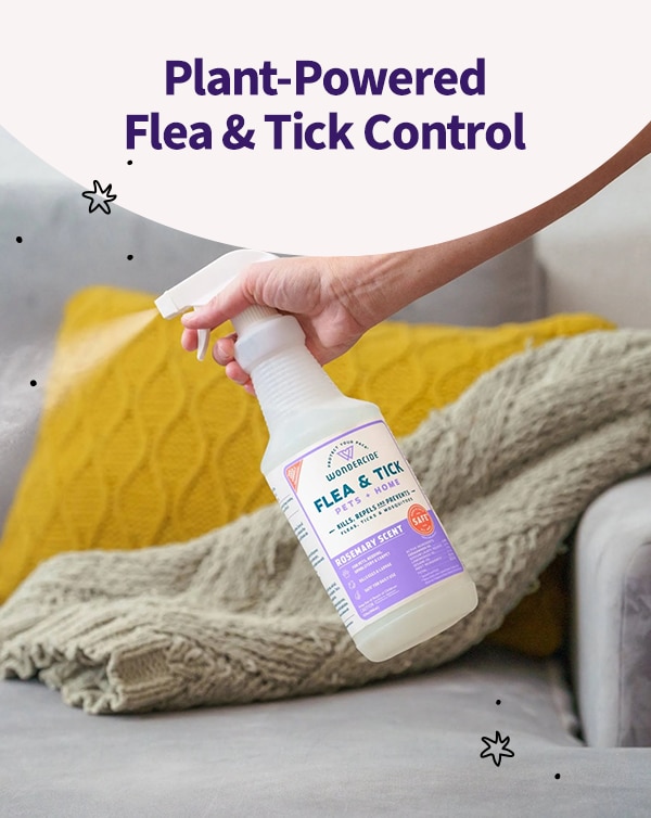 Flea & Tick