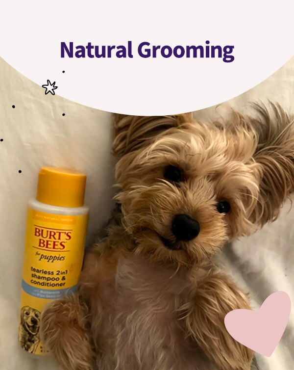 Natural Grooming