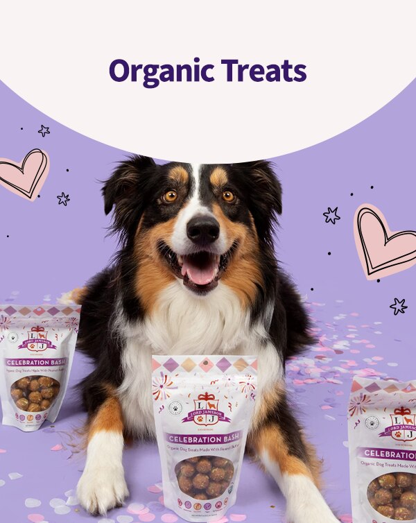 Organic Treats