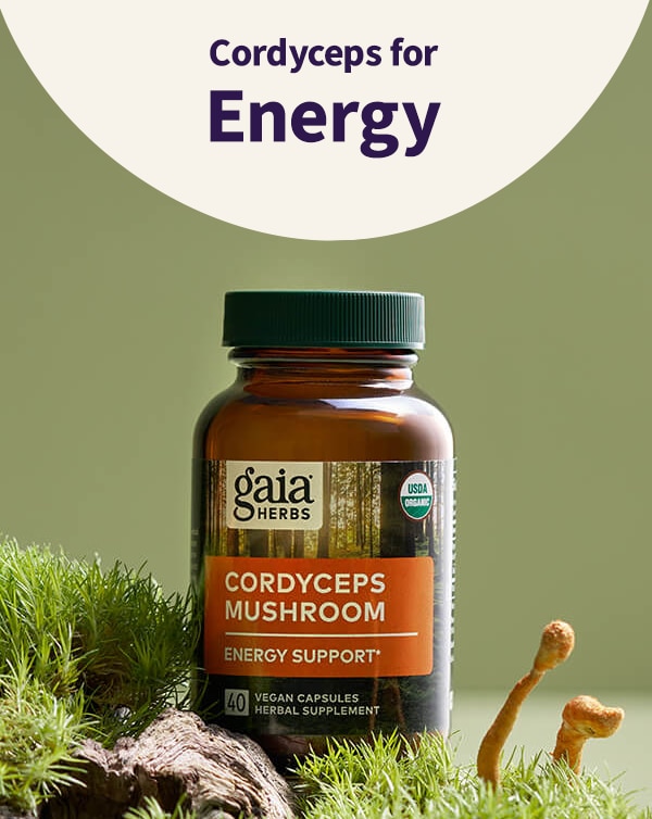 Cordyceps for Energy