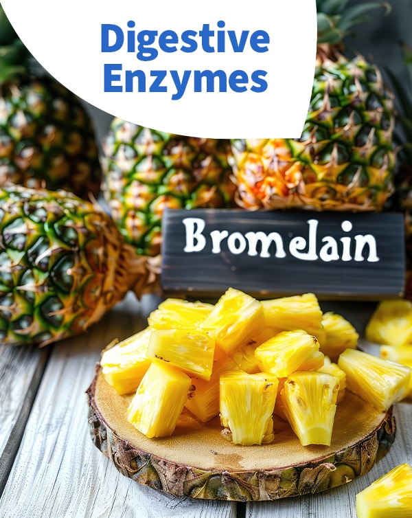 Digestive Enzymes