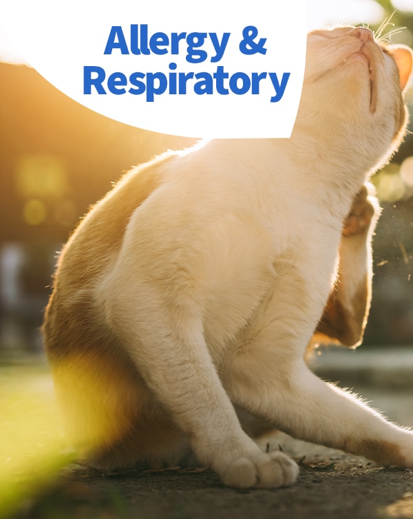 Allery & Respiratory