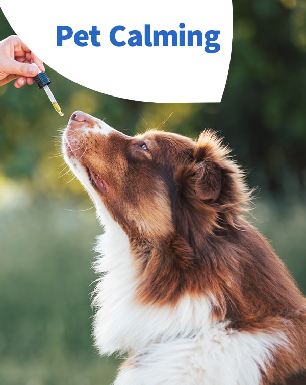 Pet Calming