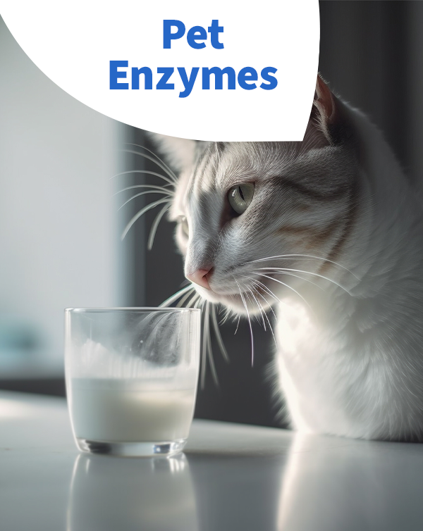 Pet Enzymes