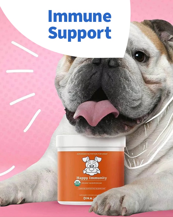 Immune Support for Pets