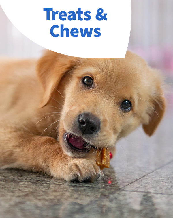 Treats & Chews